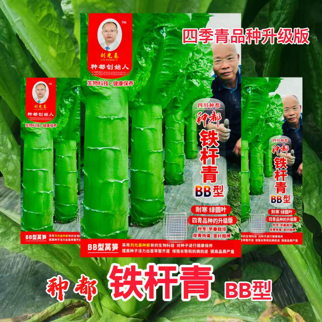 种都铁杆青BB型青皮绿肉香莴笋种子高产耐热耐寒基地蔬菜种子