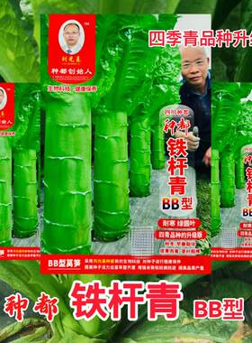种都铁杆青BB型青皮绿肉香莴笋种子高产耐热耐寒基地蔬菜种子
