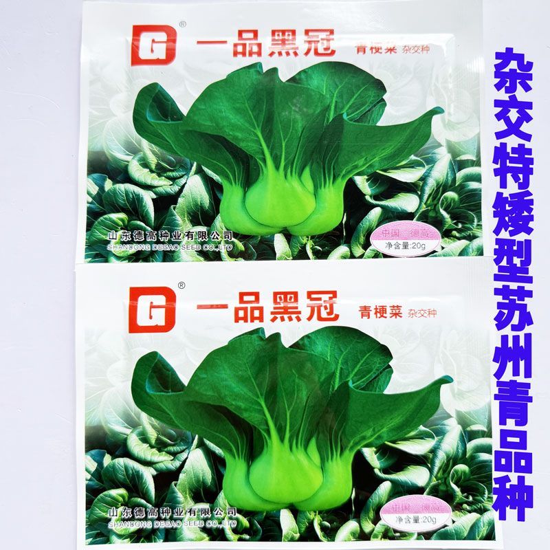 德高 一品黑冠 黑叶矮脚青梗菜种籽耐冻特矮黑亮趴地苏州青菜种