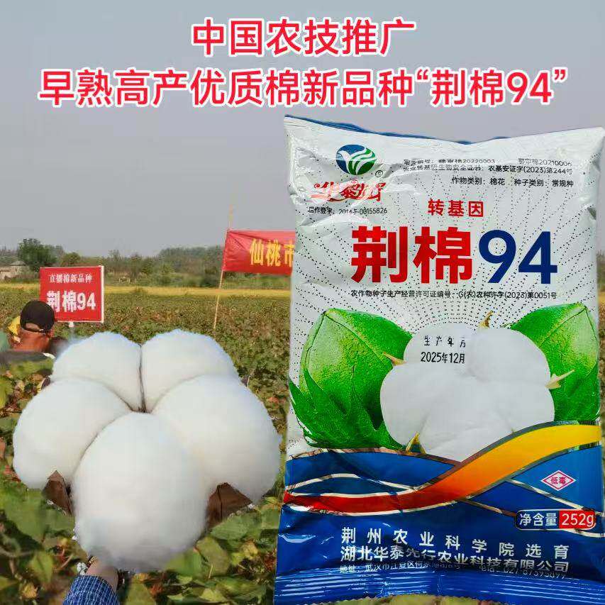 审定棉花种子荆棉94棉花种籽转基因早熟棉花抗棉铃虫棉籽种孑