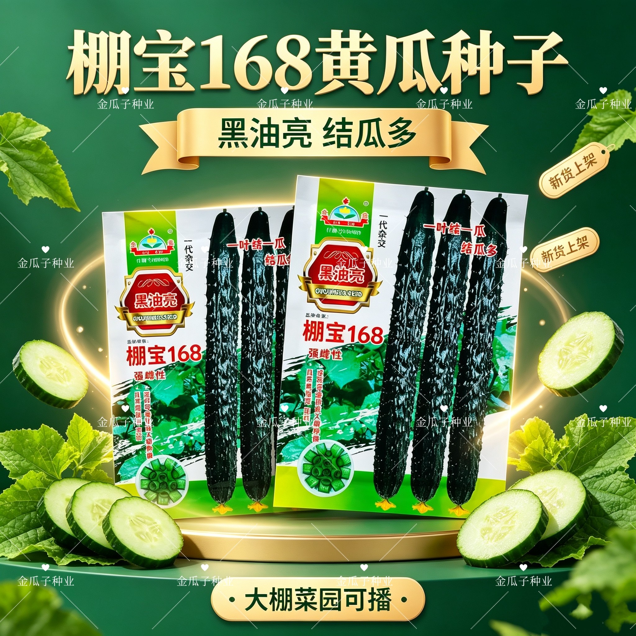 棚宝168黑油亮黄瓜种子早熟强雌瓜码密深绿油亮刺黄瓜种子春秋播