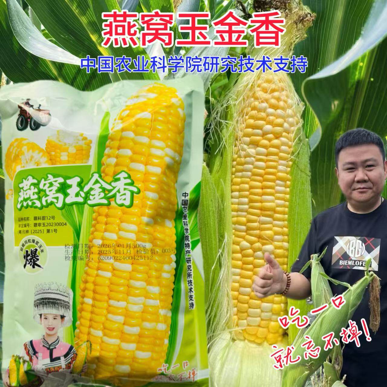 燕窝玉金香燕窝雪糯玉米全新第三代超甜水果爆浆玉好吃籽粒金黄色