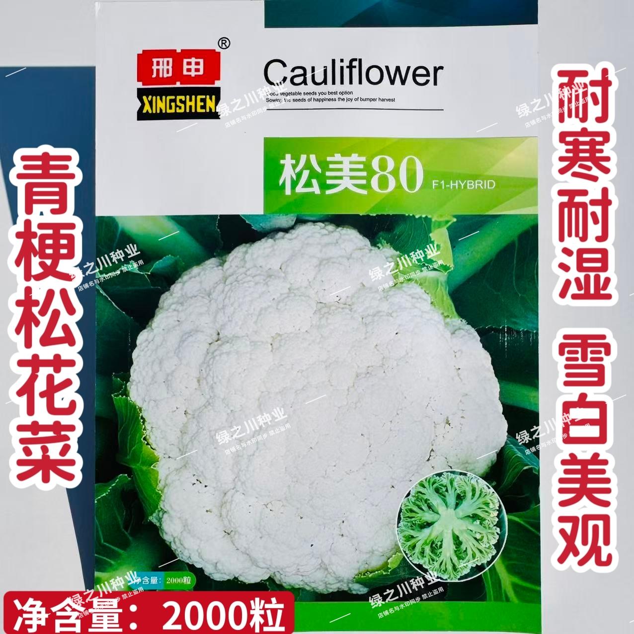 松美80花菜种子春秋两季青梗松花菜种子花球雪白花椰菜种子