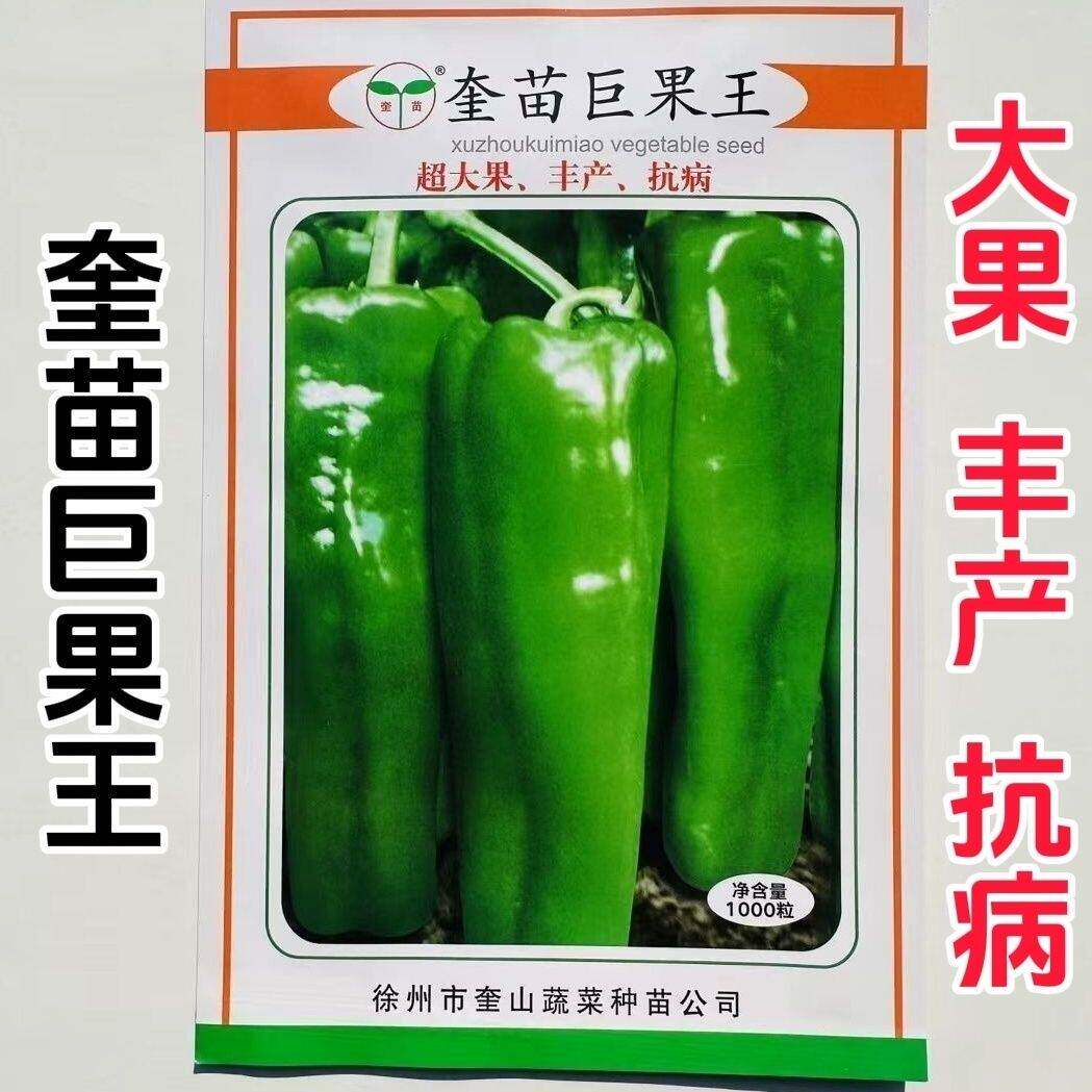 奎苗巨果王辣椒种子早中熟超大果牛角椒种籽抗病蔬菜种子春秋播种