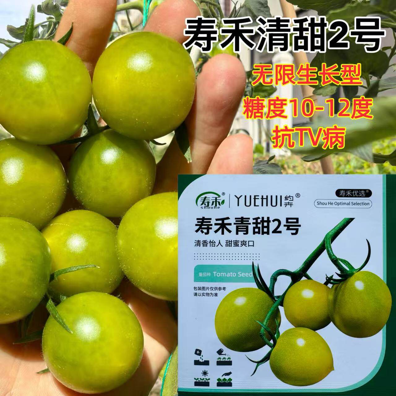 寿禾青甜2号无限生长抗病性强糖度高圣女果番茄种子青西红柿10粒