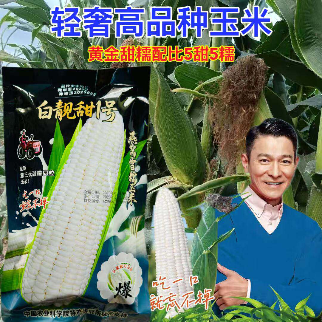 白靓甜1号燕窝雪糯玉米种子全新第三代超甜糯玉米好种植口感无渣