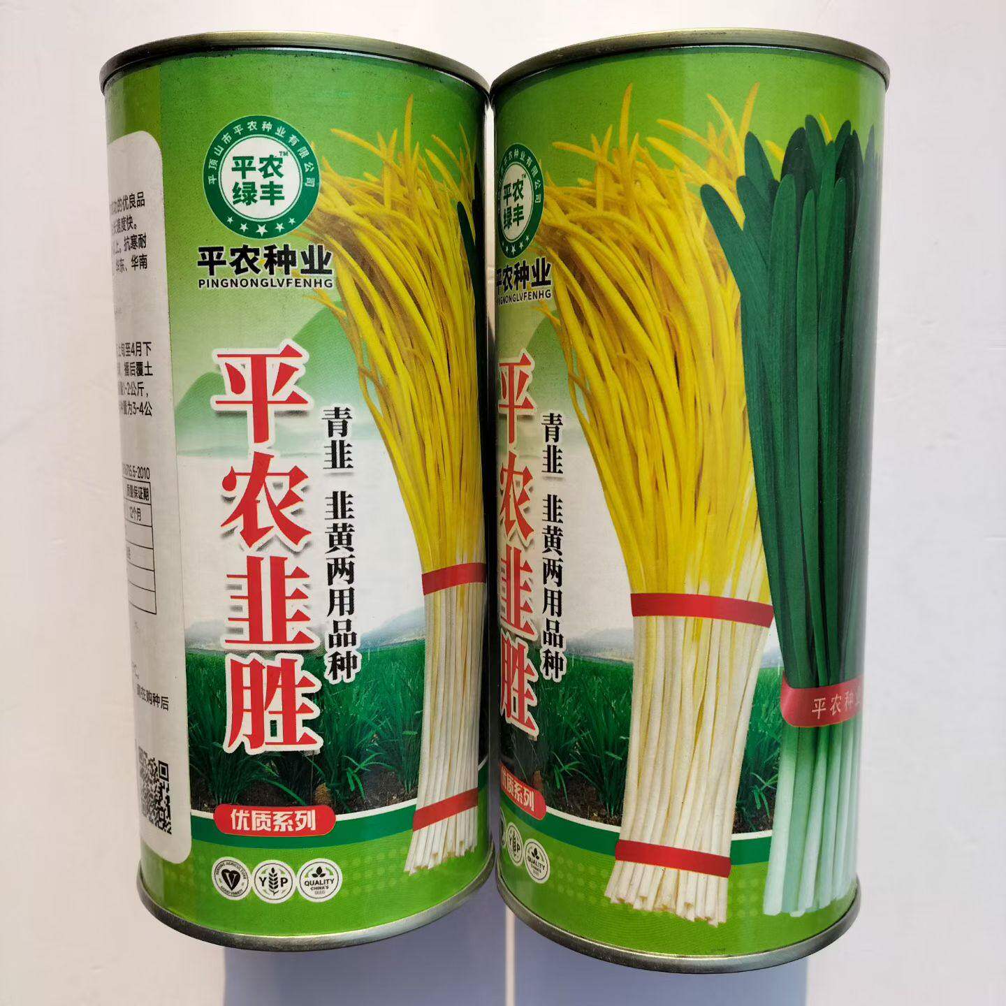 韭菜种子韭黄两用叶宽韭菜厚高产抗寒抗病不休眠可作精品韭黄籽种