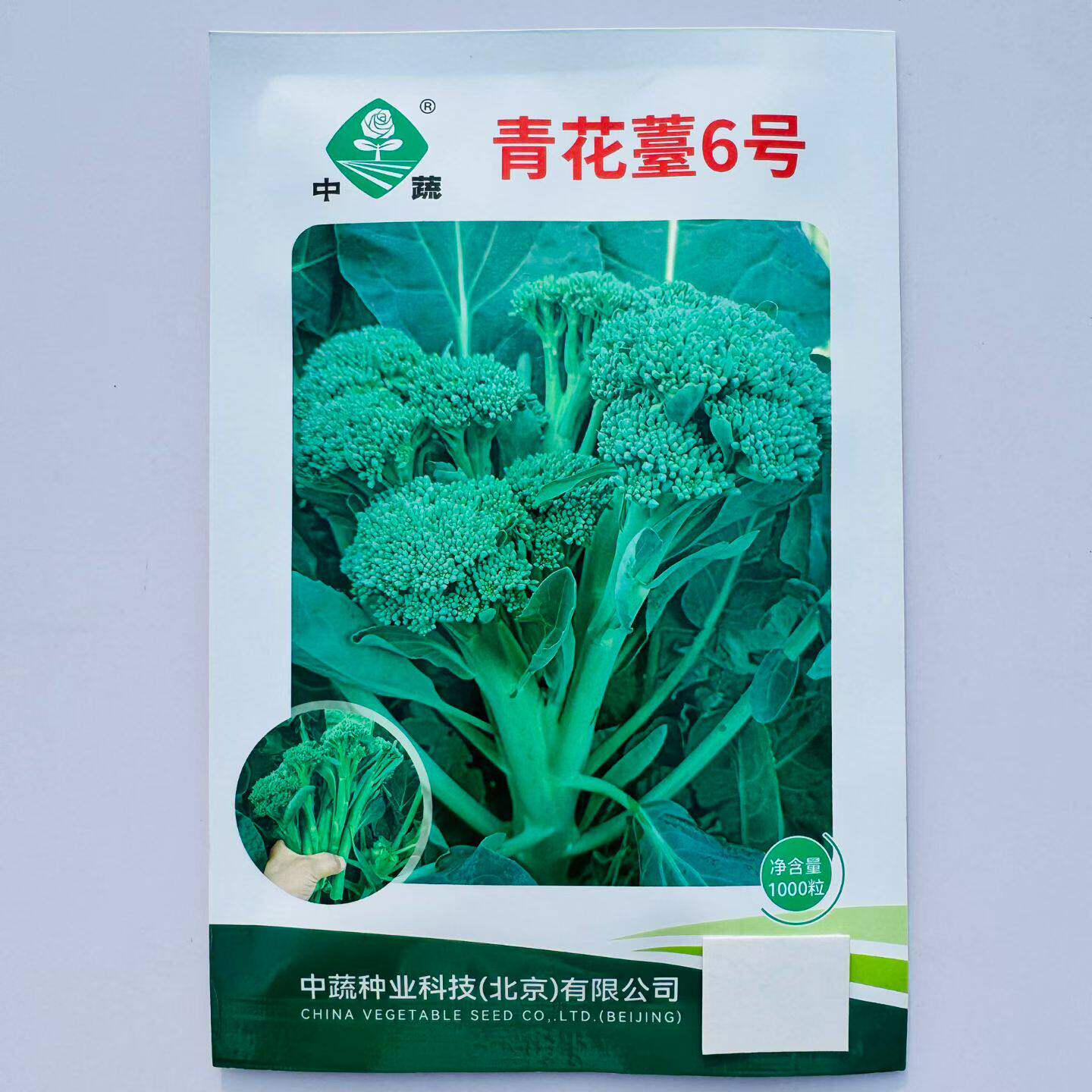 青花薹6号西兰苔种子春秋西兰薹种子西洋芥兰种子花椰菜口感脆甜