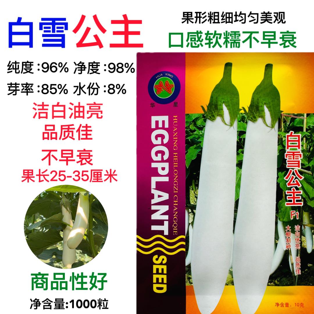 白雪公主长茄种子白长茄子种籽水果茄子种孑圆茄早熟高产蔬菜种子