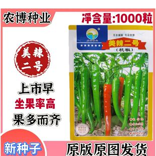 美辣二号赣椒16号辣椒种子早熟丰产辣味香浓杭椒农家春秋蔬菜种子