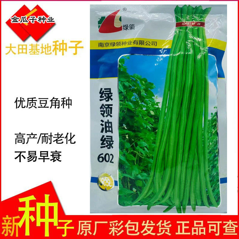 油绿602豇豆高产耐热耐老不鼓籽