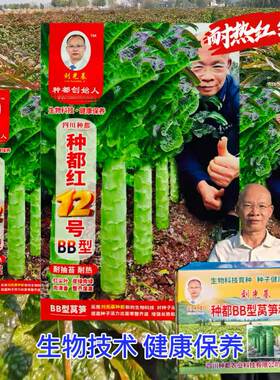 种都红12号莴笋种子香莴笋耐热型红尖叶淡青皮绿肉高桩型莴笋种籽