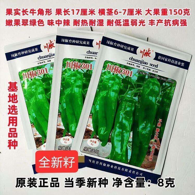 川椒301辣椒种子杂交种蔬菜种子早熟牛角椒泡椒种子耐热耐湿耐寒