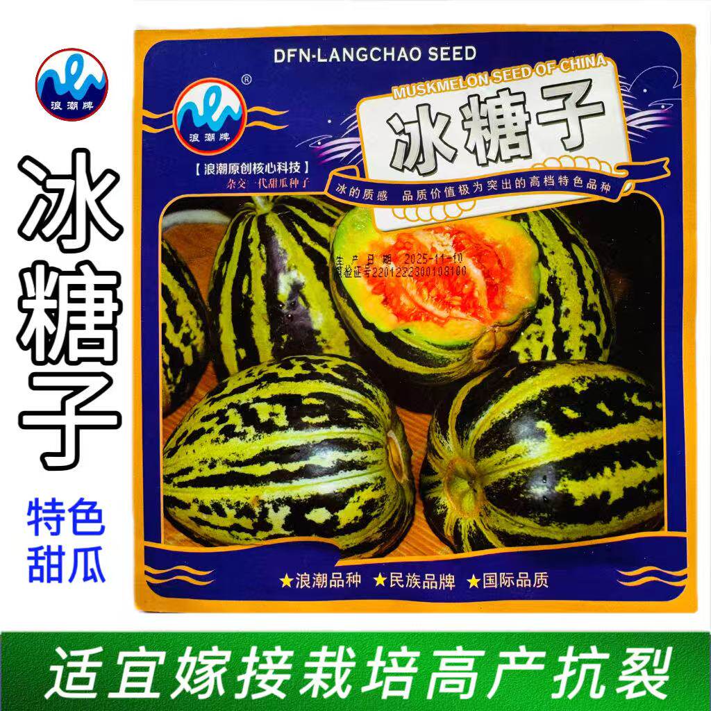 浪潮冰糖子甜瓜种子高糖早熟杂交花皮甜掉牙香瓜甜瓜种籽高产抗裂