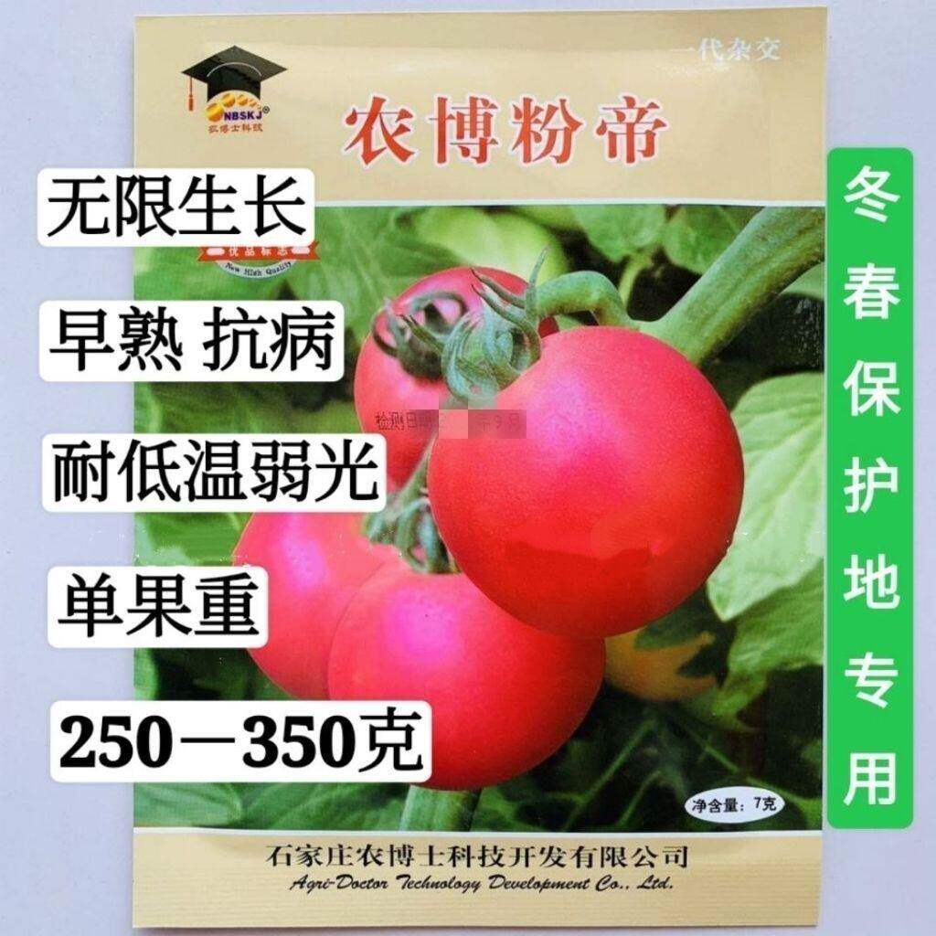 农博粉帝番茄种子无限生长型粉果番茄种子耐低温口感好西红柿种子