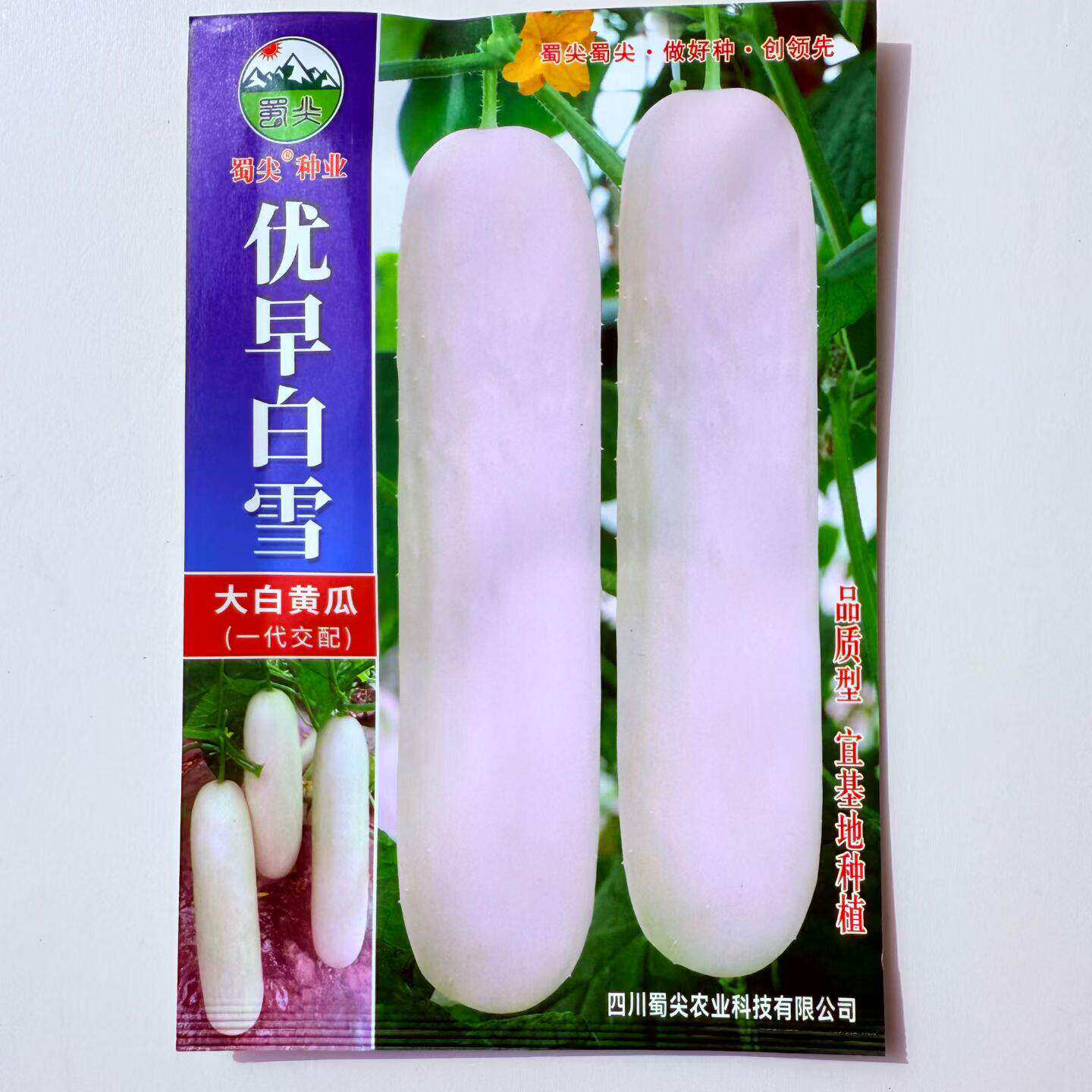 优早白雪大白黄瓜种子早熟杂交皮乳白色稀刺刺小瘤水果仙瓜种籽