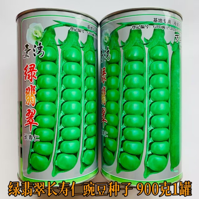 绿翡翠长寿仁豌豆种子春秋季农家菜园翠绿豌豆种籽青豌豆蔬菜种孑