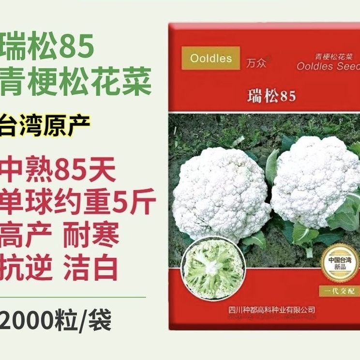 台湾原产瑞松85松花花菜种子耐热早熟高产进口耐寒散花正品种子