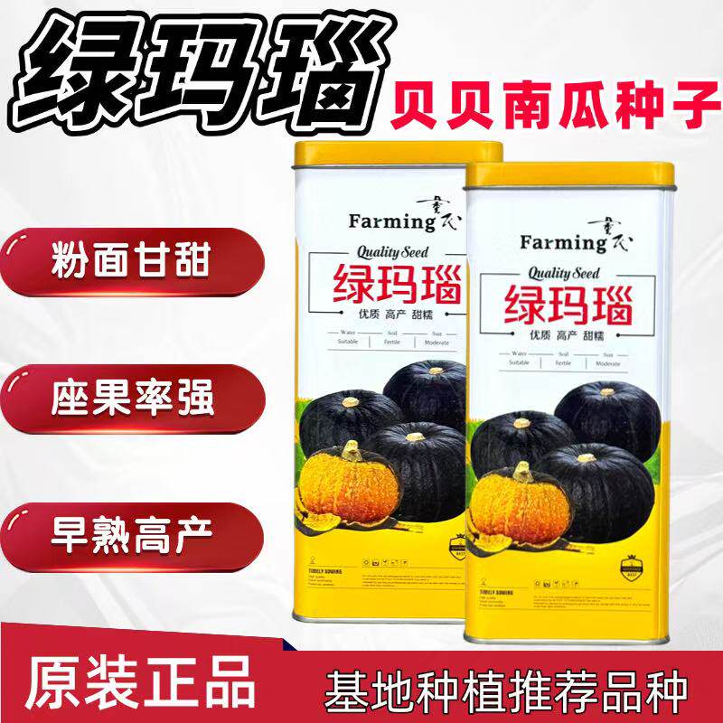绿玛瑙贝贝南瓜种子早熟扁圆形强粉迷你南瓜甘甜糯春秋露地专用种