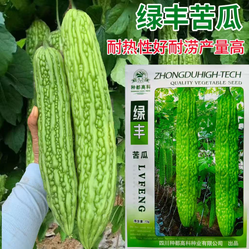 绿丰苦瓜种子农家春夏季耐热早熟抗病苦瓜种籽丰产抗病微苦蔬菜子