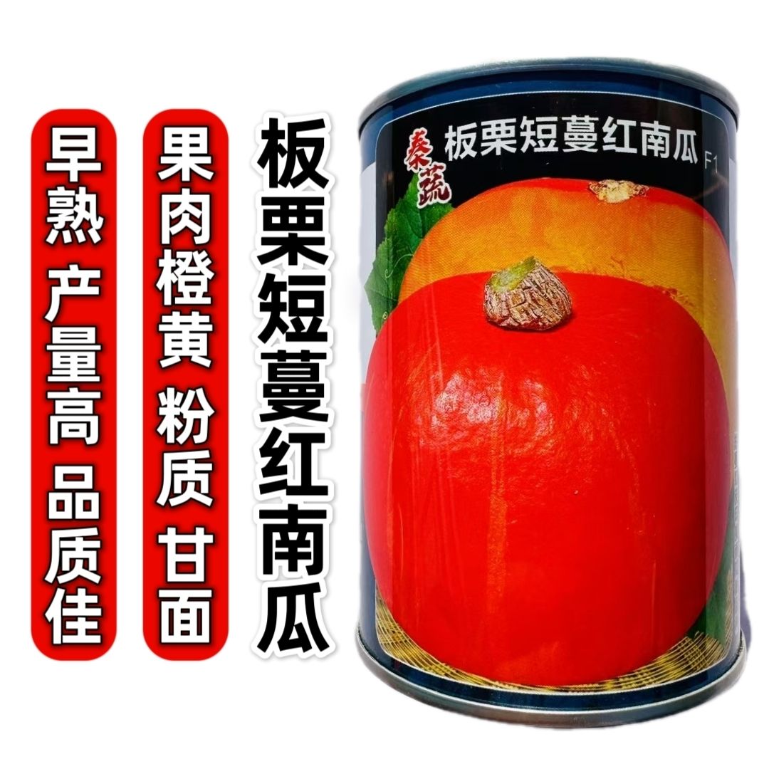 秦蔬红栗南瓜种子短蔓板栗南瓜种子早熟甜面粉南瓜种籽果肉橙黄