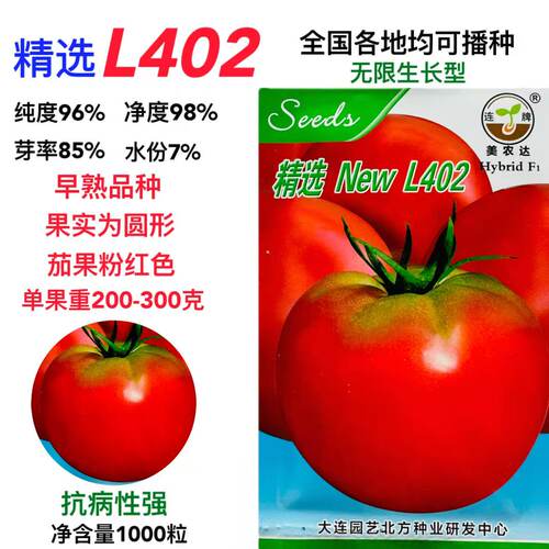 L-402番茄种子早熟高秧无限生长型粉红西红柿种籽抗病高产大田孑