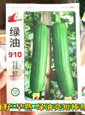 绿领南京绿油910丝瓜种子白籽早熟春季四季油皮高产短棒基地田园