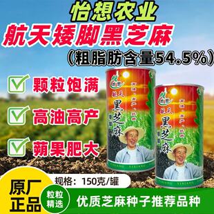 正品航天矮脚黑芝麻种子高油高产单杆抗病含油高优质大田基地用种