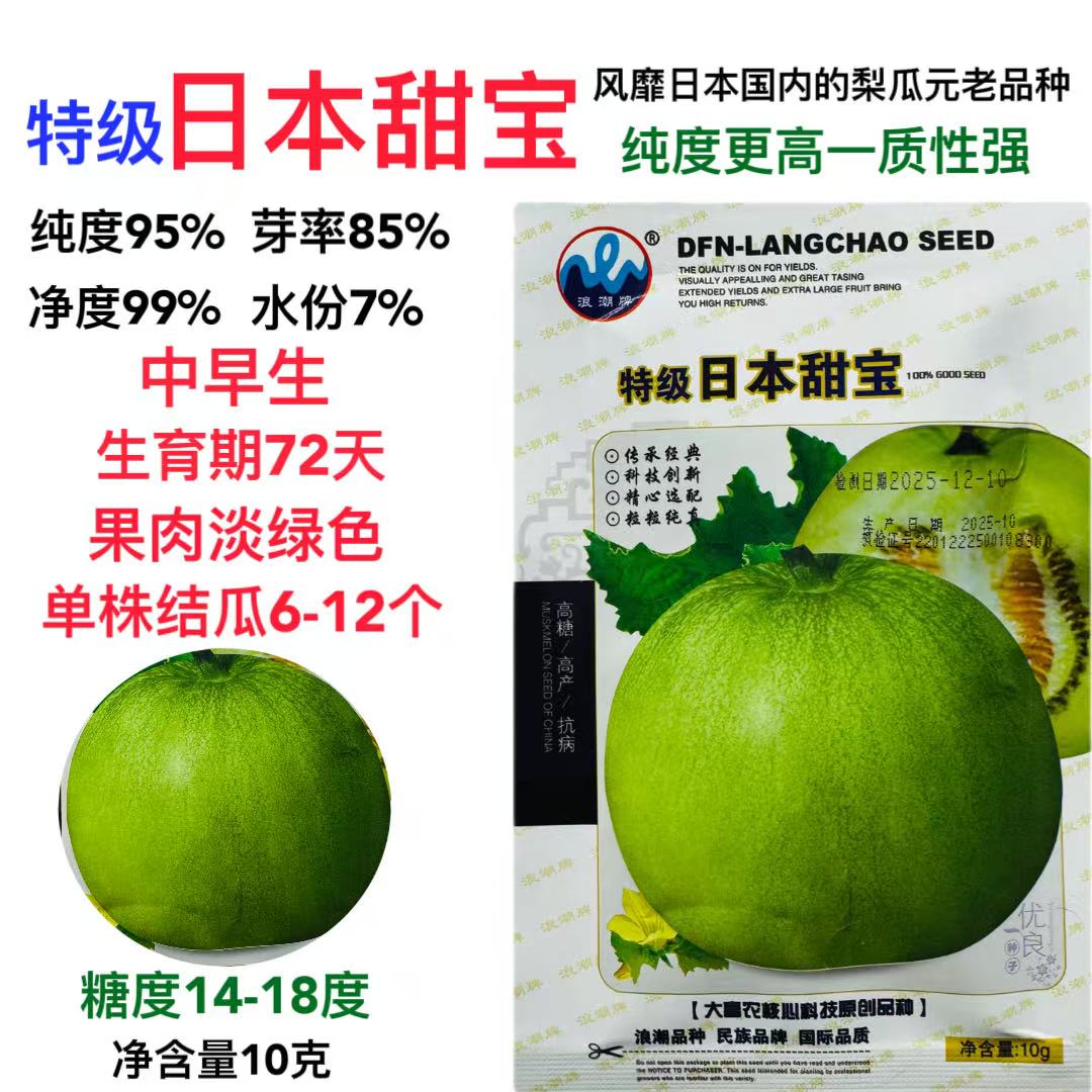 特级日本甜宝甜瓜种子中早熟高产抗病香瓜种籽脆甜香瓜种子籽