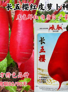 徐科双狮长五樱萝卜种子脆嫩爽口红皮白肉大红袍水果萝卜种籽秋播