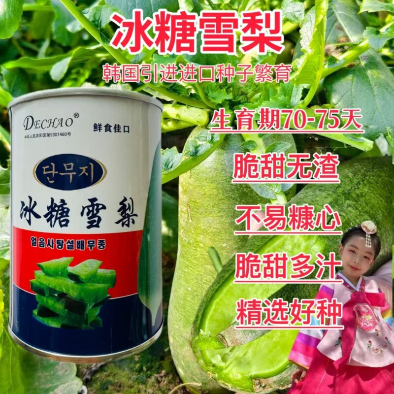 韩国进口冰糖雪梨萝卜种子脆甜多汁不易抗芯南北方农家菜园秋季播