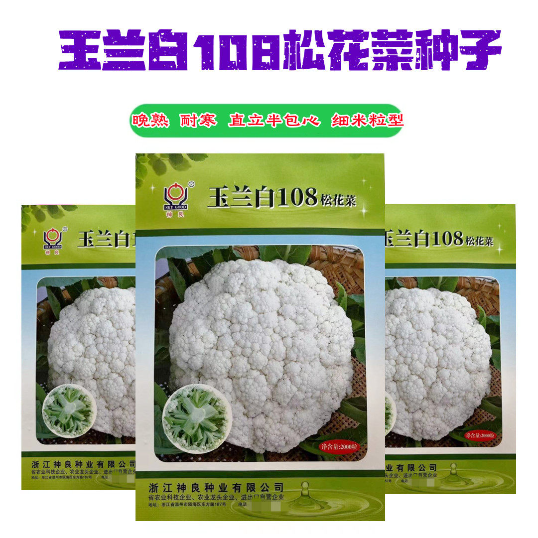 玉兰白108天青梗松花菜种子晚熟花球松散小米粒抗寒高产2千粒装