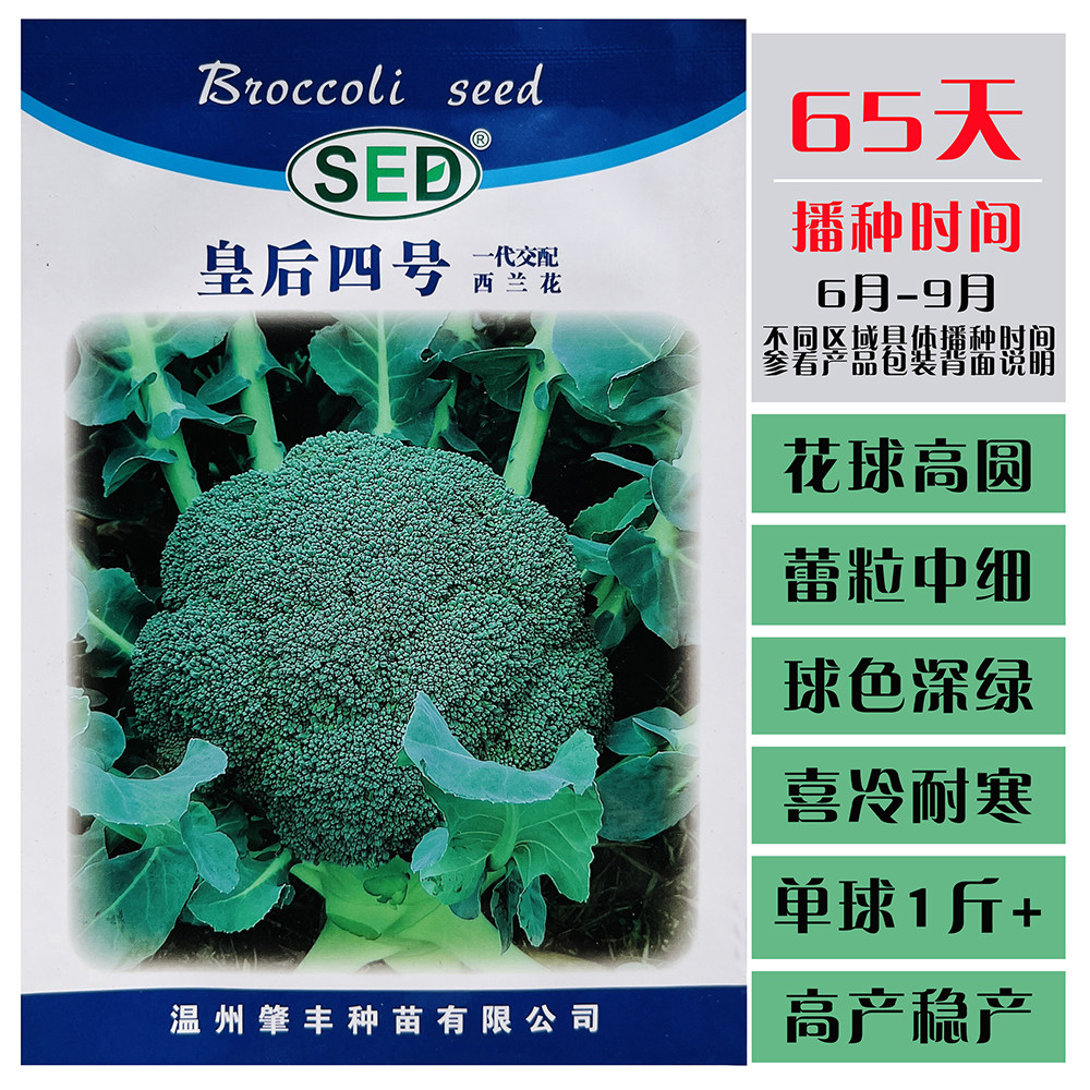 皇后四号西兰花种子口感好花球深绿高圆青梗早熟高产商品性佳秋播
