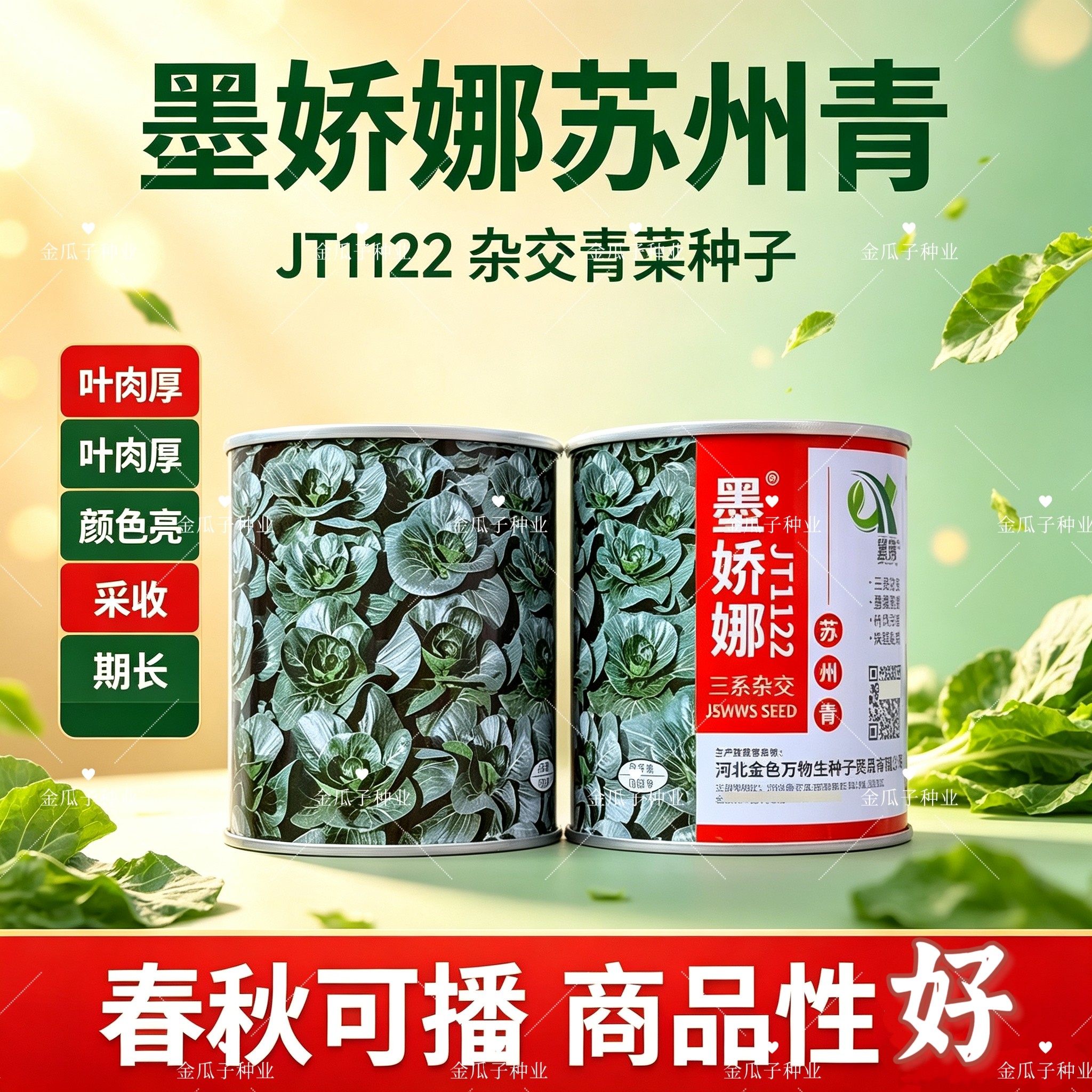 墨娇娜三系杂交矮脚苏州青大头束腰青菜种子耐寒青梗菜春秋播种籽
