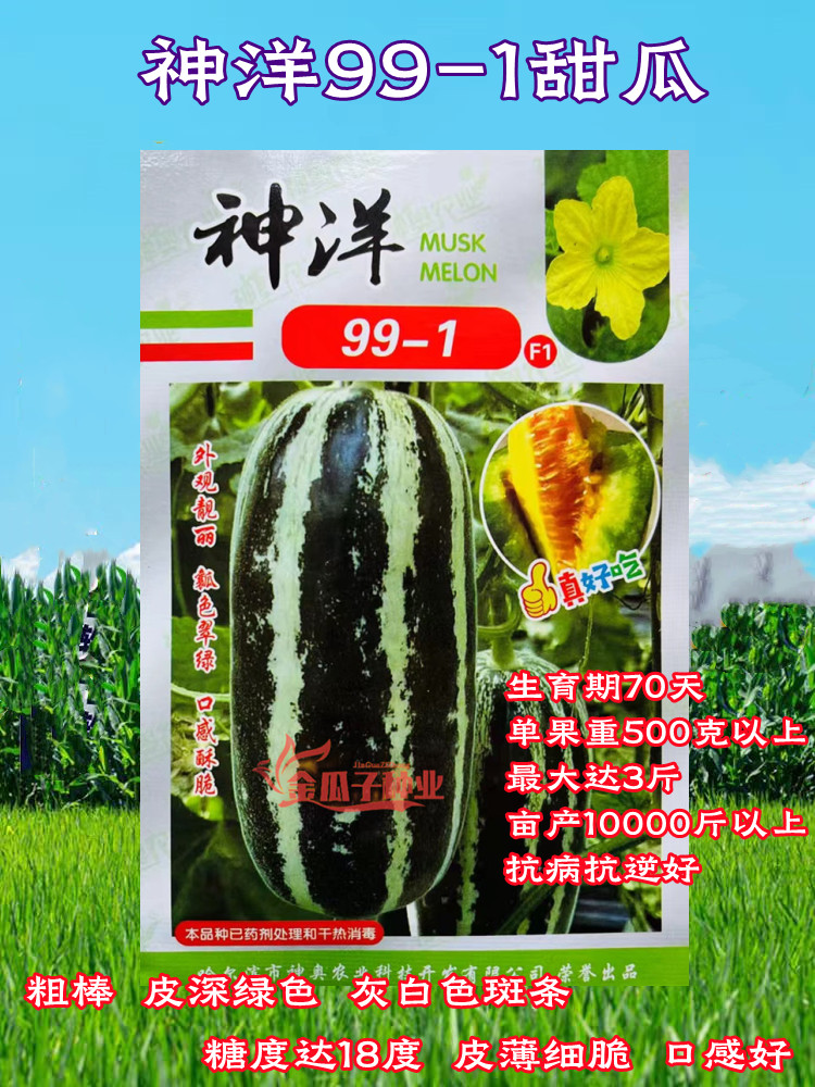 博洋系列甜瓜薄皮高糖酥脆爽口