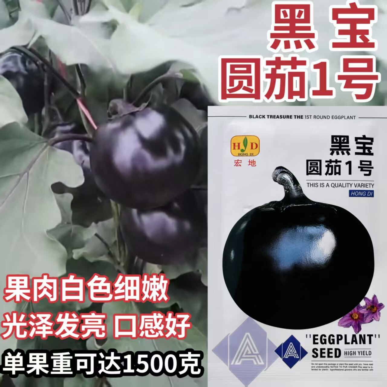 黑宝圆茄1号茄子种子中熟紫黑圆茄种子果肉白色细嫩口感好耐贮运