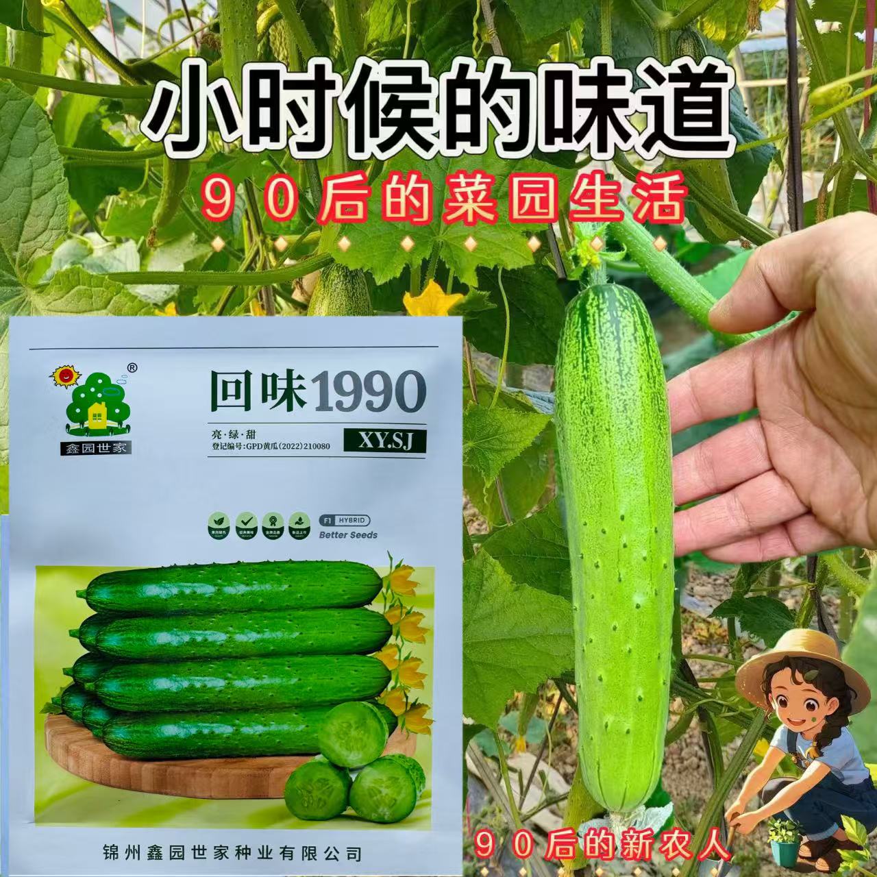 回味1990口感型黄瓜种子强雌水果黄瓜种子生吃甜嫩清香高产黄瓜种