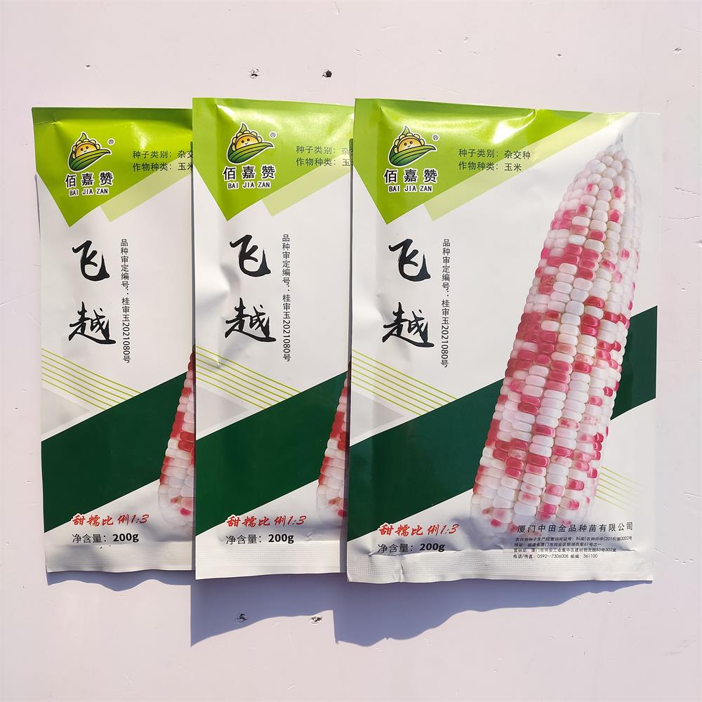 飞越杂交彩甜糯玉米种子甜糯1:3彩色玉米好吃大田玉米种子