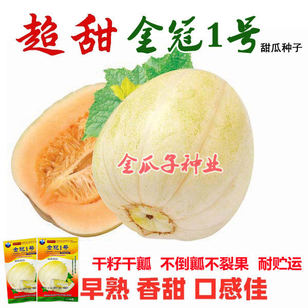 金冠1号甜瓜种子黄白皮甜脆不面抗病耐裂香瓜种籽早熟高产蔬菜孑