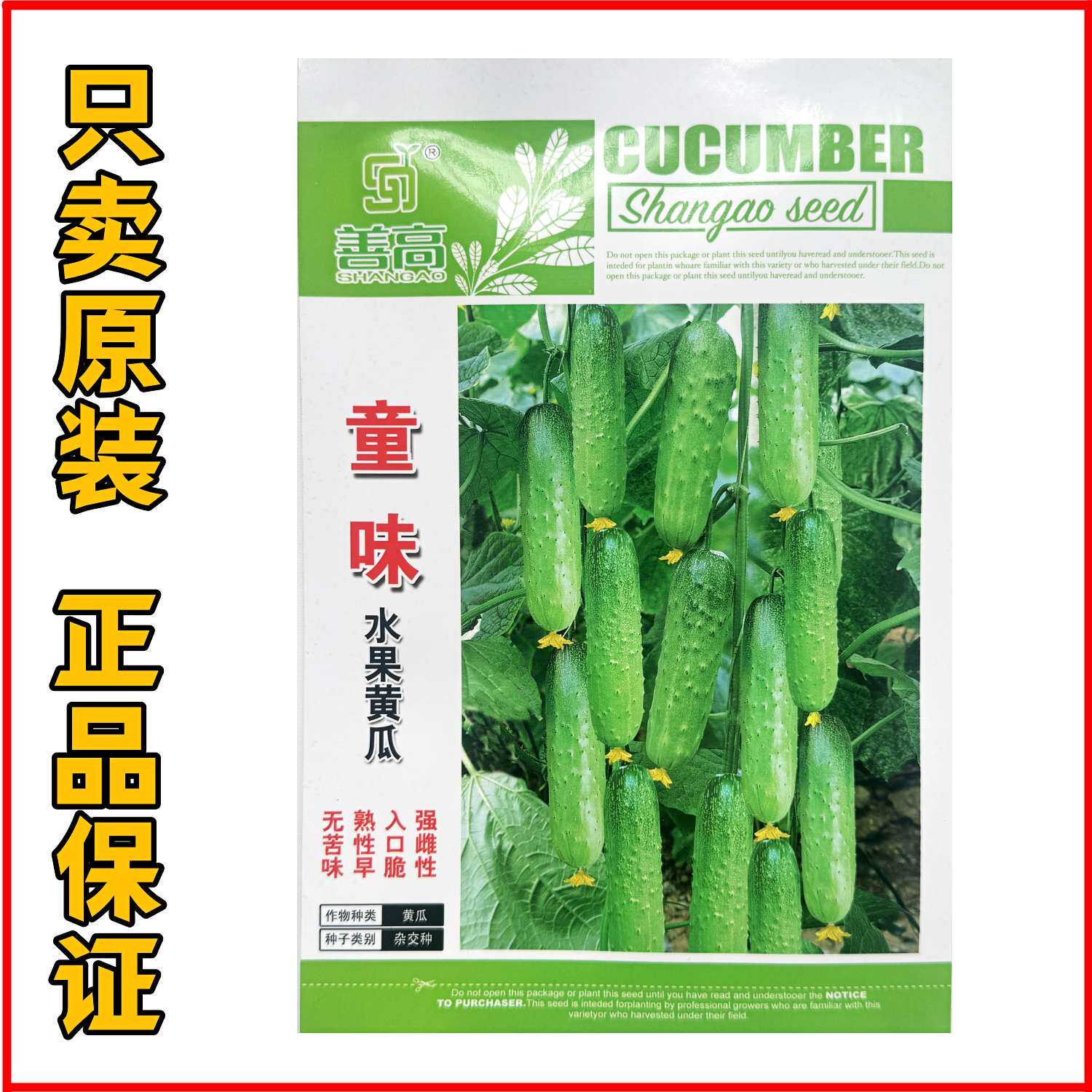 童味水果黄瓜种籽耐寒高产黄瓜种子脆甜杂交品种基地大田用种抗病
