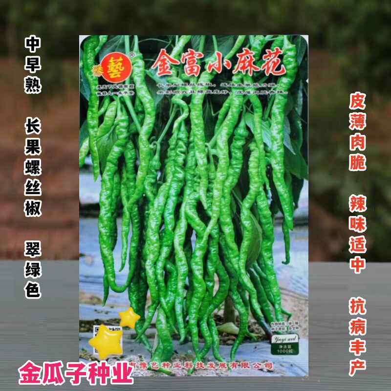 河南豫艺金富小麻花长果螺丝线椒种子春季秋季丰产抗病辣椒菜种籽