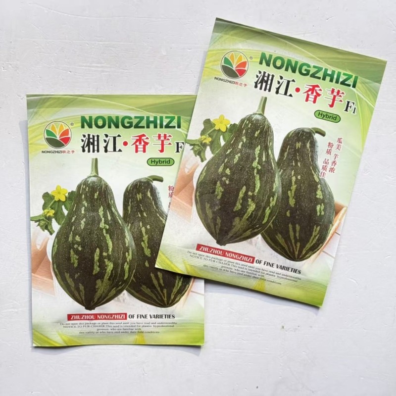 农之子湘江香芋南瓜种子粉糯香甜大田春秋瓜核形小南瓜种籽基地用