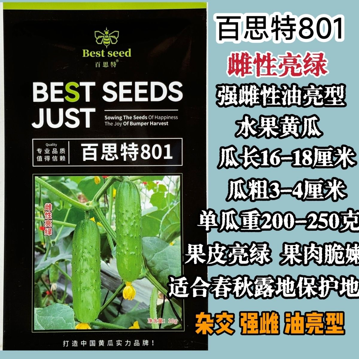 百思特801旱黄瓜种子强雌油亮旱黄瓜种籽亮绿长棒水果黄瓜种子