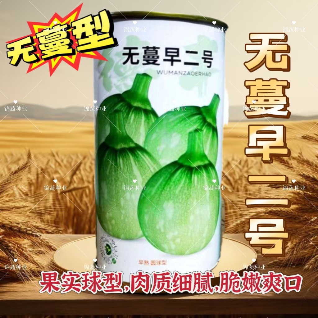 无蔓早二号南瓜种子早熟圆球型嫩南瓜种子无藤短蔓菜南瓜嫩瓜种子