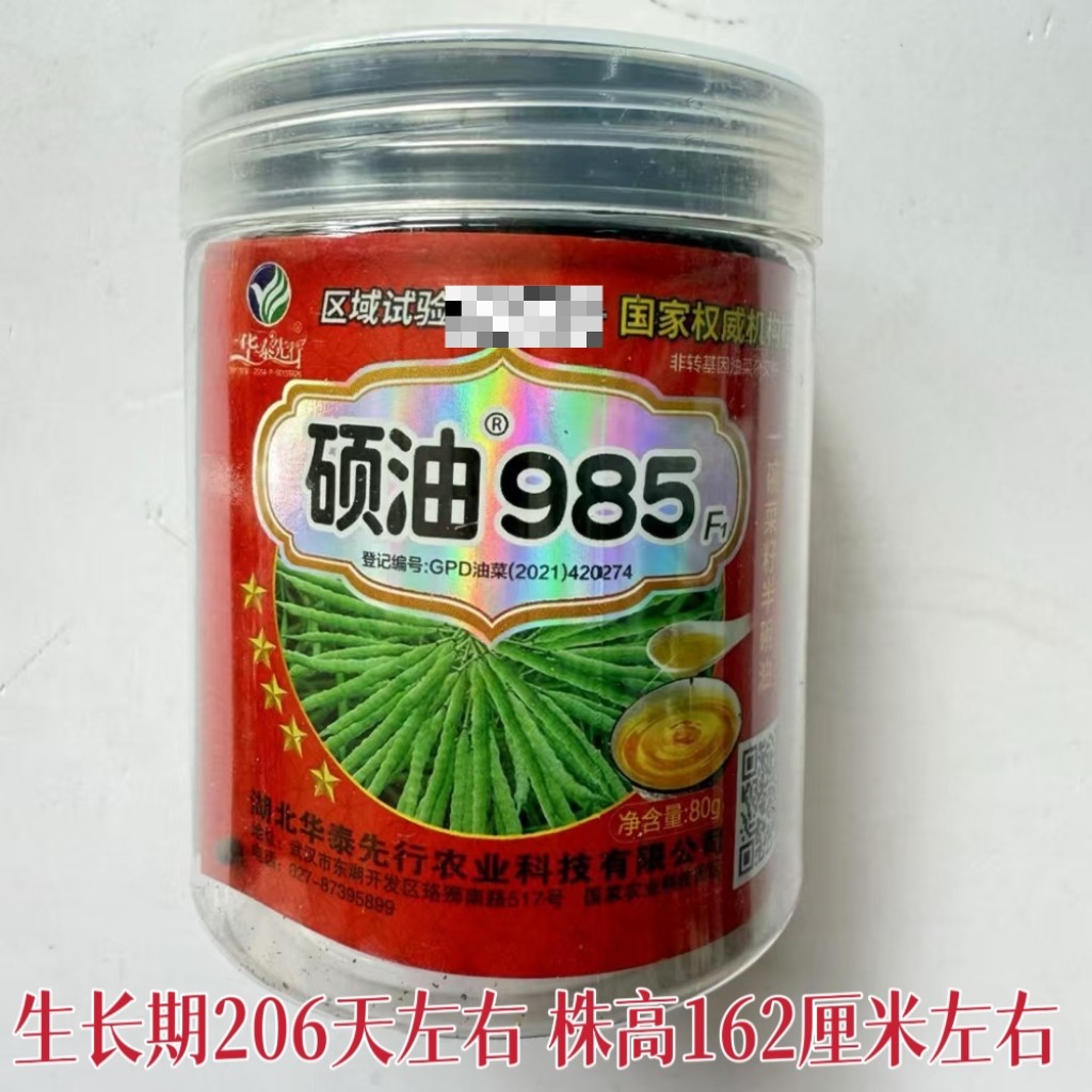油菜种子秋播耐寒抗病抗倒伏杂交种观赏油菜花种籽高油丰产油菜籽