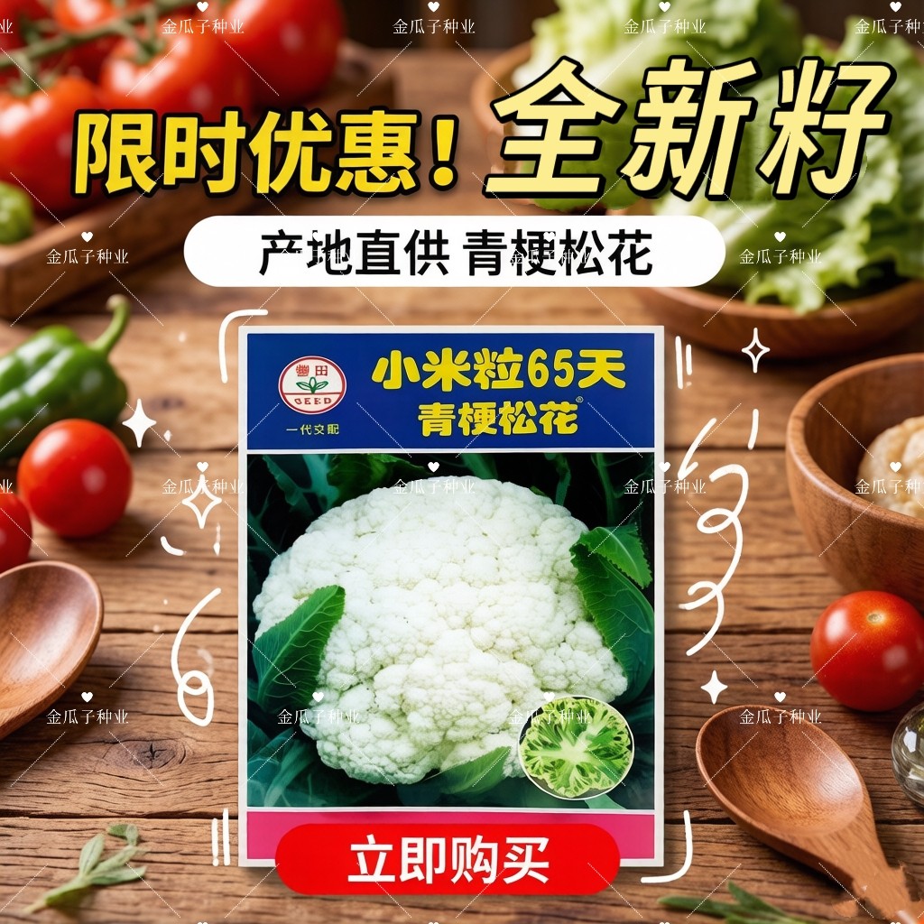 小米粒65天青梗松花菜种子高产抗病大田青梗花菜种籽秋播蔬菜种子