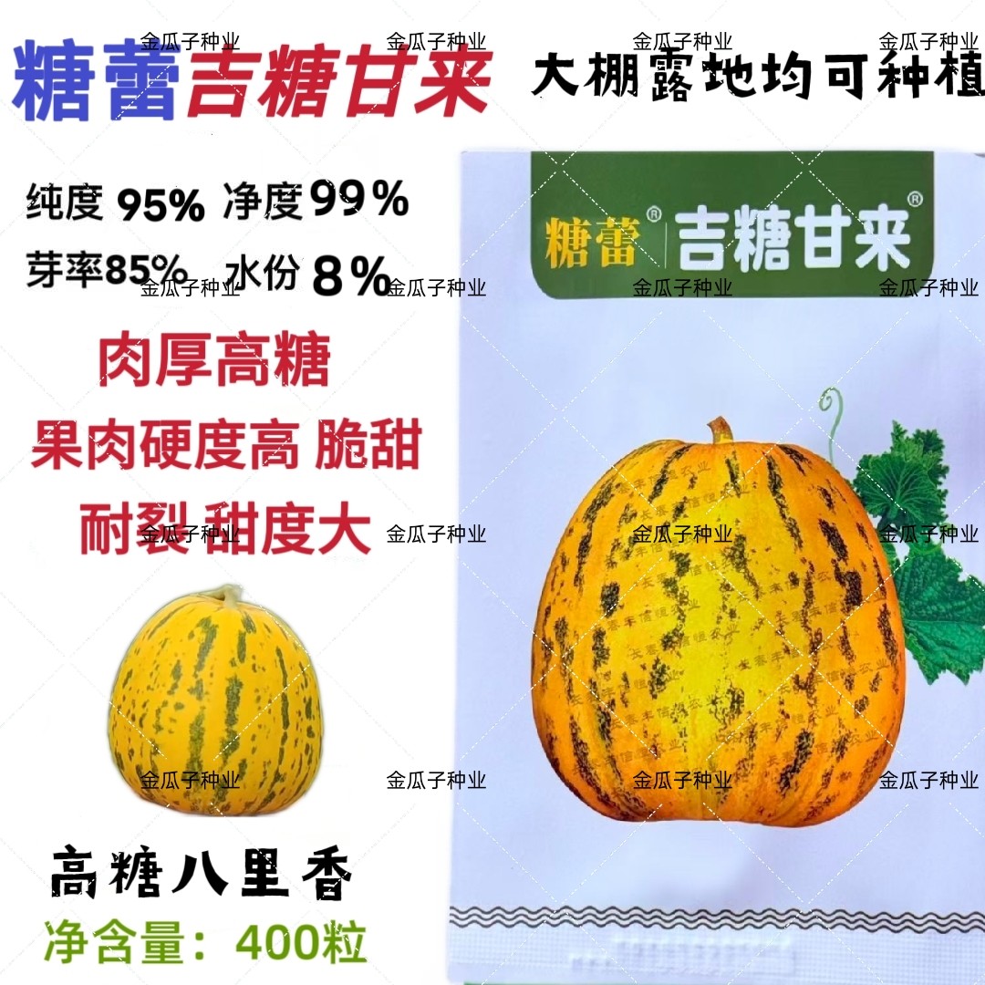 吉糖甘来甜瓜种子花皮绿肉八里香高糖甜瓜种籽耐裂脆甜水果瓜种孑