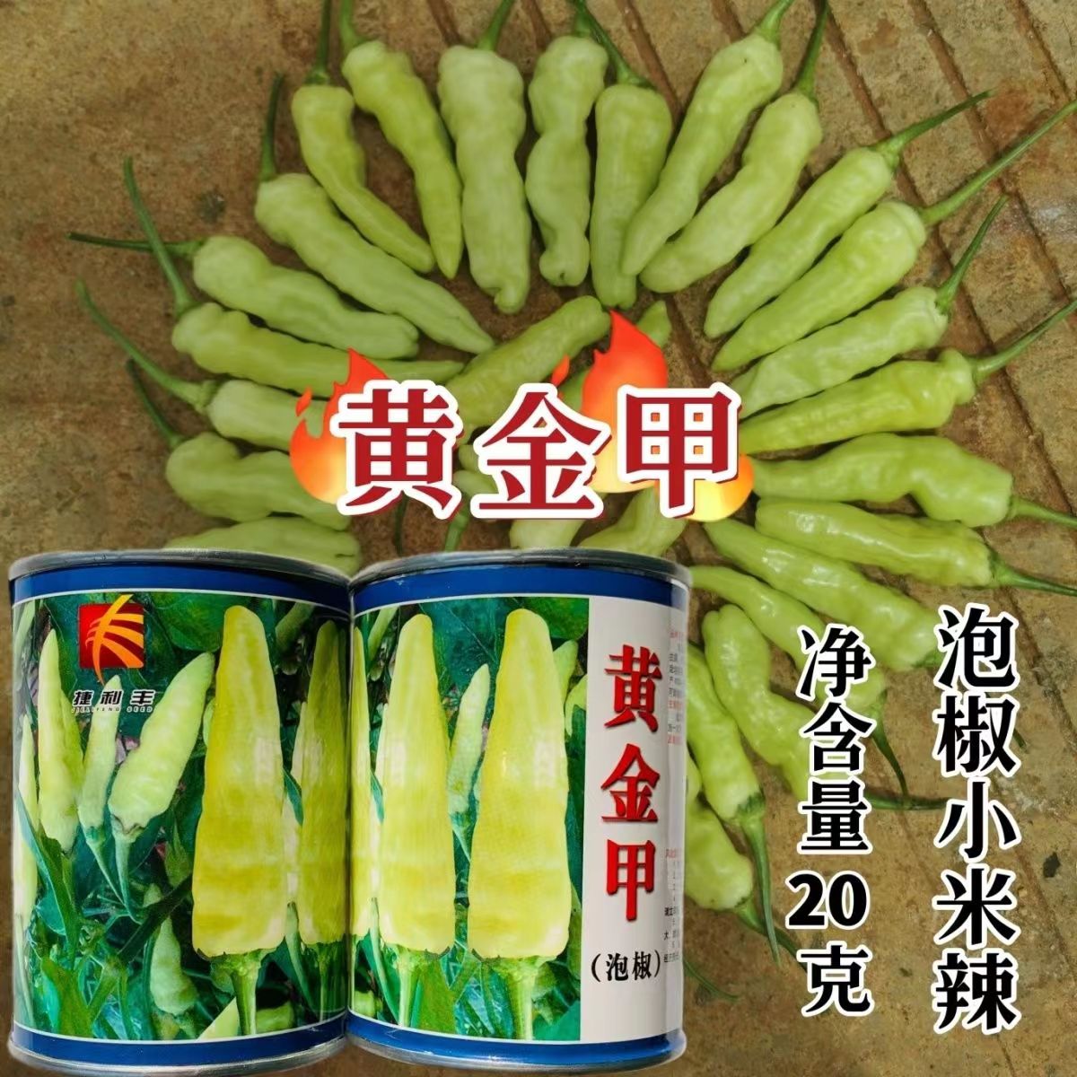 黄金甲小米椒高产抗病大果早熟