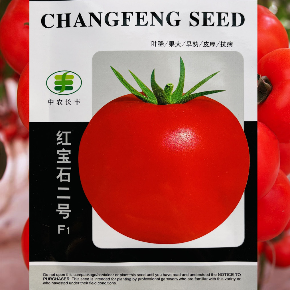 红宝石二号大红番茄抗病早熟耐裂