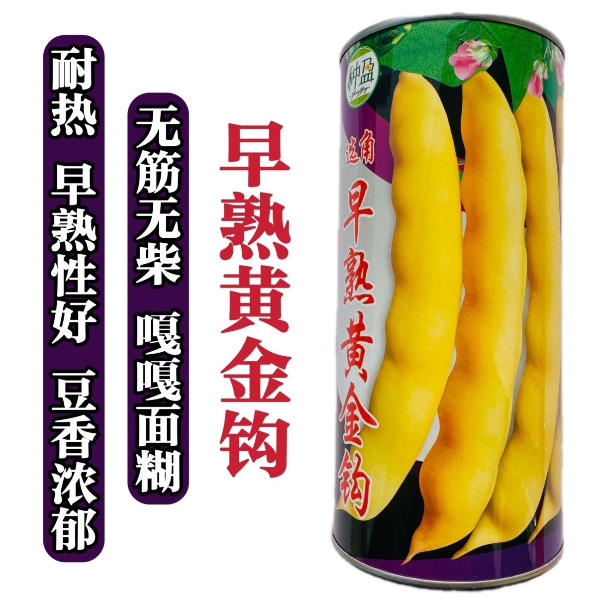 早熟黄金钩架豆种子黄金勾东北油豆角籽无筋无柴黄色高产蔬菜种子